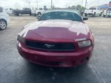 Used 2011 Ford Mustang Convertible w/ 101A Rapid Spec Order Code image 2