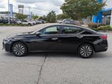 Used 2024 Nissan Altima 2.5 SV image 5