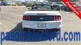 Certified 2022 Ford Mustang Premium image 4