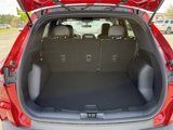 New 2025 Ford Escape ST-Line w/ Tech Pack #1 image 5
