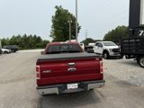 Used 2014 Ford F150 XLT w/ Equipment Group 302A Luxury image 4
