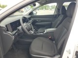 Used 2025 Hyundai Tucson SEL image 5