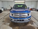 Used 2018 Ford F150 XLT w/ Equipment Group 302A Luxury image 2