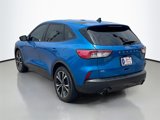 Used 2021 Ford Escape SE w/ SE Sport Appearance Package image 4