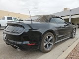 Used 2015 Ford Mustang Convertible w/ Equipment Group 051A image 4