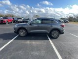 New 2025 Ford Escape SE image 4