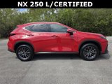 Certified 2022 Lexus NX 250 FWD image 2