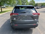Used 2020 Toyota RAV4 XLE image 4