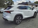 Used 2021 Lexus NX 300 F Sport w/ Accessory Package 2 image 3
