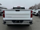 Used 2024 Chevrolet Silverado 1500 W/T w/ WT Fleet Convenience Package image 6