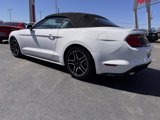 Used 2022 Ford Mustang Premium image 3