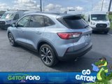 Used 2022 Ford Escape SE w/ SE Sport Appearance Package image 5