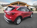 Certified 2023 Ford Escape Active w/ Tech Pack #1 image 5