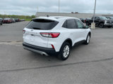 Used 2021 Ford Escape SE w/ Convenience Package image 5