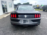 Used 2015 Ford Mustang Coupe image 6
