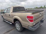 Used 2011 Ford F150 XLT w/ XLT Chrome Pkg image 6
