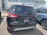 Used 2014 Ford Escape SE image 3