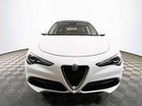 Used 2019 Alfa Romeo Stelvio Ti image 2