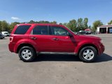 Used 2010 Ford Escape XLT image 6