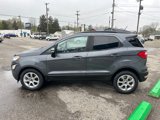 Used 2019 Ford EcoSport SE image 4