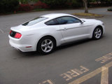 Used 2017 Ford Mustang Coupe image 6