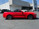 Certified 2022 Ford Mustang Premium image 3