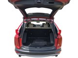 Used 2019 Honda CR-V Touring image 6