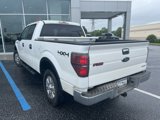 Used 2012 Ford F150 XLT image 4