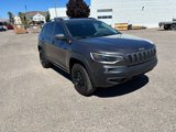 Used 2020 Jeep Cherokee Trailhawk w/ Technology Group image 3