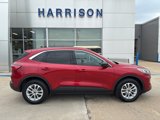 Used 2022 Ford Escape SE w/ Cold Weather Package image 5
