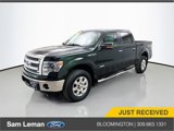 Used 2014 Ford F150 XLT w/ Equipment Group 302A Luxury image 3