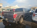 Used 2014 Ford F150 XLT w/ XLT Chrome Package image 4
