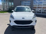 Used 2020 Ford Escape SE image 2