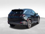 Used 2024 Hyundai Tucson Limited image 5