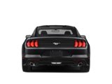 Used 2019 Ford Mustang Coupe image 6