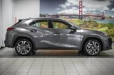 Used 2024 Lexus UX 250h FWD image 5