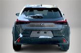 Certified 2022 Lexus UX 200 w/ Premium Package image 4