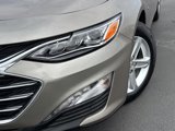 Certified 2023 Chevrolet Malibu LT image 3