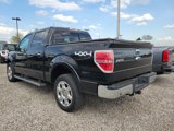 Used 2013 Ford F150 Lariat w/ Luxury Equipment Group image 5