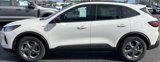 New 2025 Ford Escape ST-Line w/ Tech Pack #1 image 5