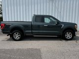 Used 2021 Ford F150 XLT w/ Equipment Group 302A High image 2