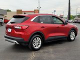 Used 2021 Ford Escape SE image 4