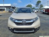 Used 2019 Honda CR-V EX-L image 2