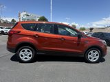 Used 2019 Ford Escape S image 4