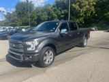 Used 2016 Ford F150 Platinum w/ Equipment Group 701A Luxury image 3