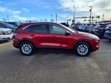 Used 2022 Ford Escape SE image 2
