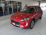 Certified 2021 Ford Escape SEL image 4