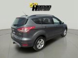 Used 2014 Ford Escape SE w/ Equipment Group 201A image 5