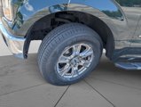 Used 2016 Ford F150 XLT w/ Equipment Group 302A Luxury image 3