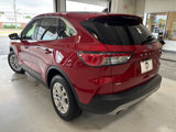 Used 2021 Ford Escape SE w/ Convenience Package image 5
